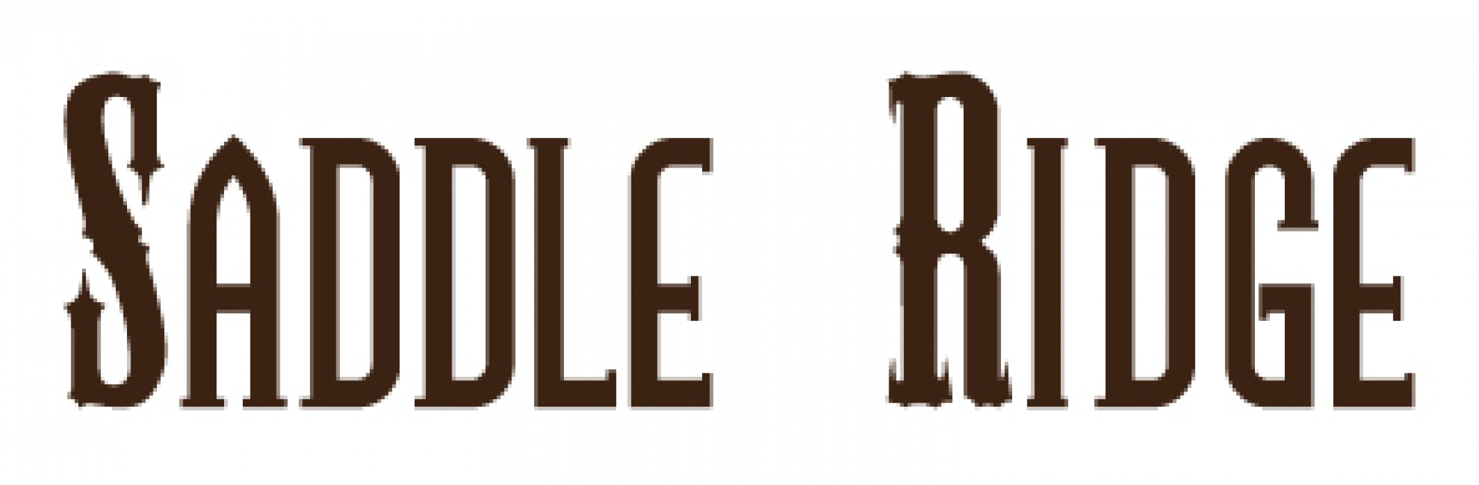 saddleridge logo